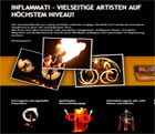 Webseitenbeispiel - Webdesign Falkensse